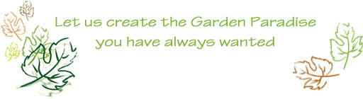 Let us create the Garden Paradise you have always wanted